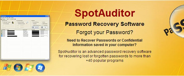 spotauditor password recovery software