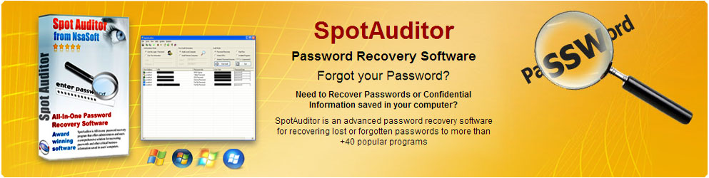 spotauditor password recovery software